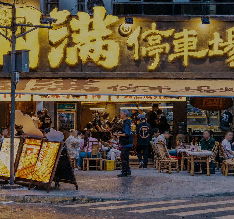 模型力